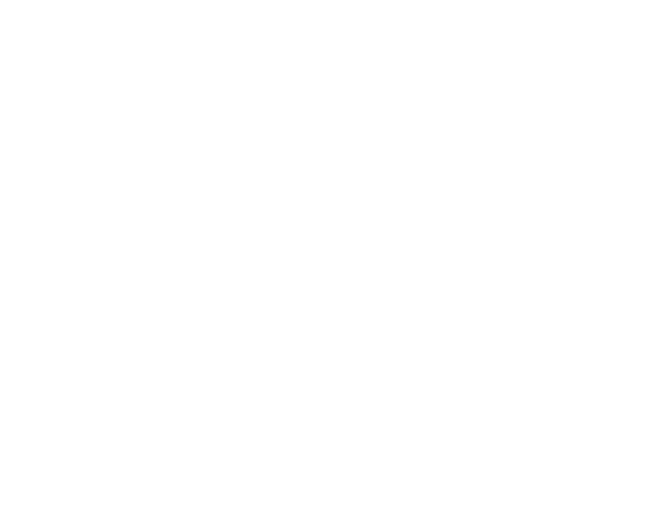 Bureau Veritas Certification mark