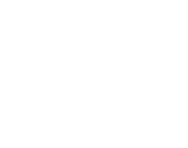 Bio Maroc organic certification mark
